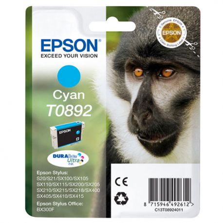 Cartuccia Epson T089240 ciano Stylus S20