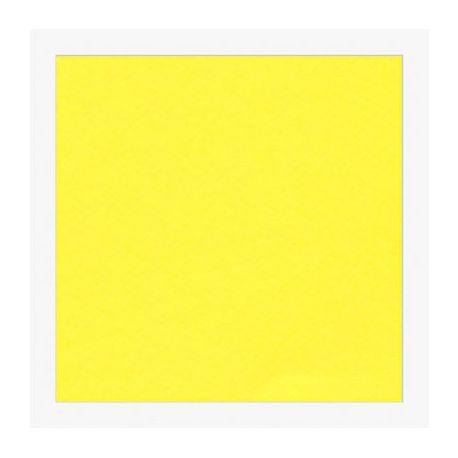 Cartoncini Fabriano 220gr 50x70 20fg giallo