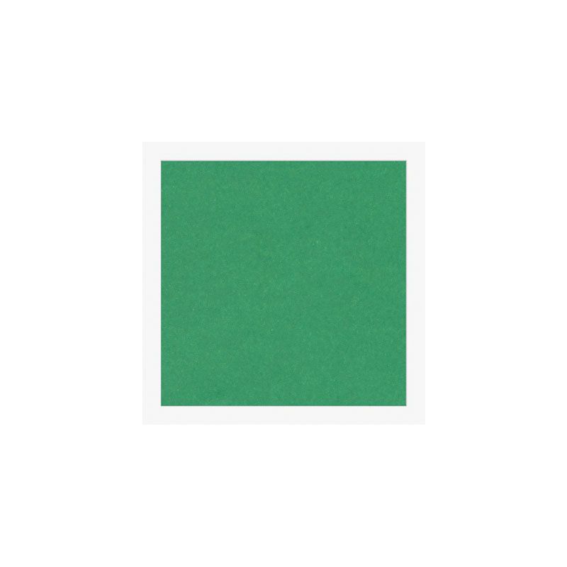 Cartoncini Fabriano 220gr 70x100 10fg verde LR