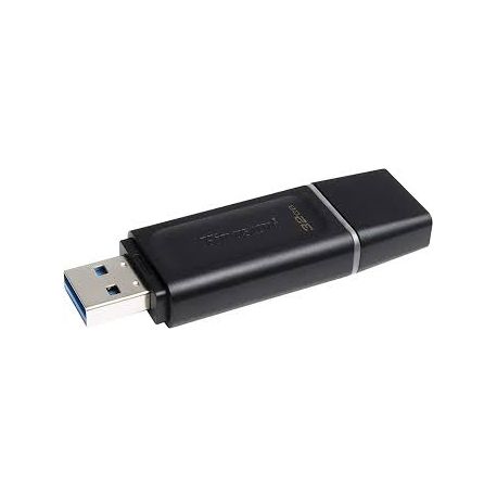 MEMORIA USB KINGSTON DATATRAVELER 1DTX 32GB