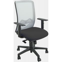 Sedia ergonomica Nathan + braccioli grigio/blu