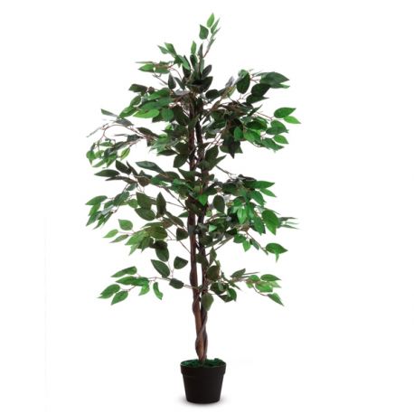 PIANTA ORNAMENTALE FICUS H120CM